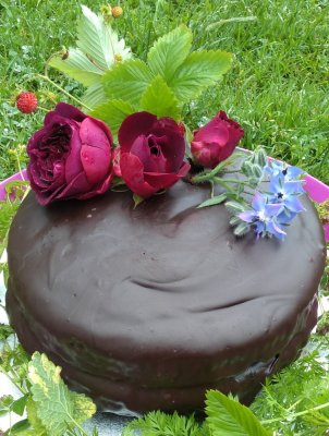 The Versatile Vegetable