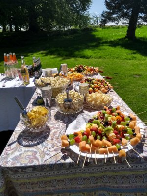 The Versatile Vegetable nibbles with drinkipoos at Vegan wedding The Versatile Vegetable nibbles with drinkipoos at Vegan wedding